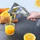 Fruit Press Manual Juicer Machine