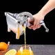 Fruit Press Manual Juicer Machine