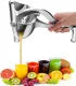 Fruit Press Manual Juicer Machine